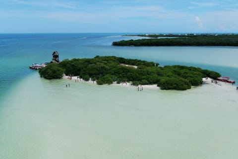 The best of Holbox from Tulum — photo 12
