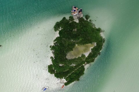 The best of Holbox from Tulum — photo 13