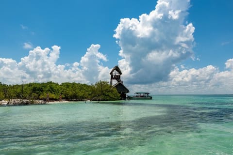The best of Holbox from Tulum — photo 14