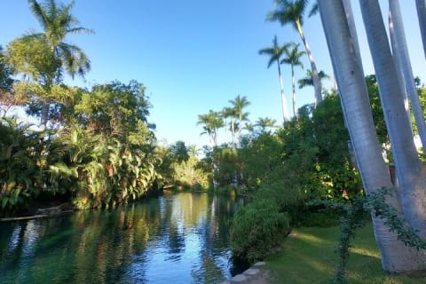 Las Estacas River, Tepoztlan & Adventure Tour from Mexico City — photo 3