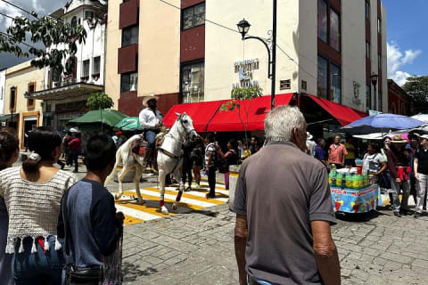 Tour gastronómico por Oaxaca con más de 10 platillos de auténticos sabores mexicanos — photo 8