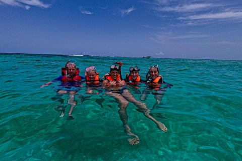 Nager avec les tortues d'Akumal — photo 14