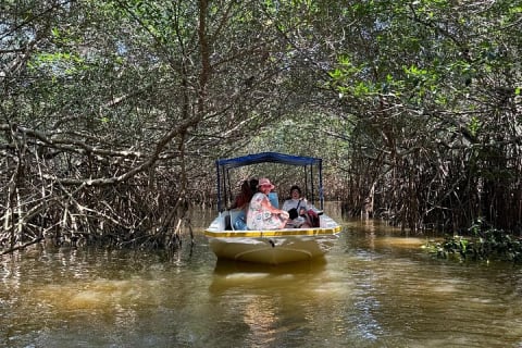 Paseo en lancha por los manglares de Celestún y playa desde Mérida — photo 1