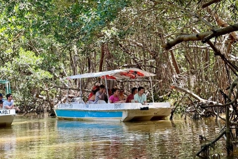Paseo en lancha por los manglares de Celestún y playa desde Mérida — photo 9