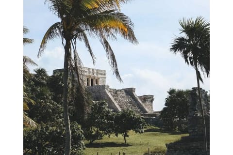 Private Tour to Tulum, Cenote and Swimming with Turtles — photo 2