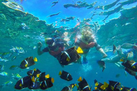 Experiencia en el parque acuático Ocean Mania en Puerto Vallarta — photo 11