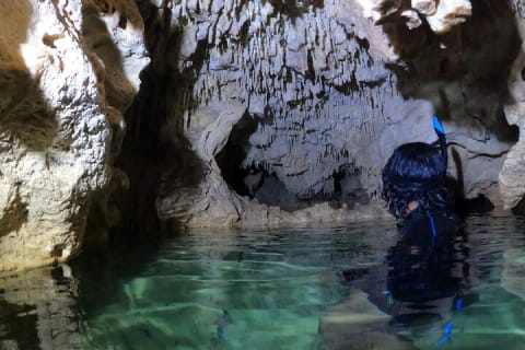 Cenotes Casa Tortuga Guide Tour with Ticket — photo 11