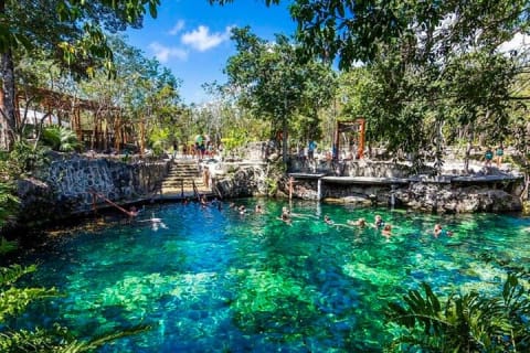 Cenotes Casa Tortuga Tulum Guided tour of the National Park — photo 10