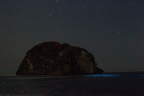Bioluminescence et excursion locale en bateau au coucher du soleil vers le sanctuaire de Los Arcos — photo 7