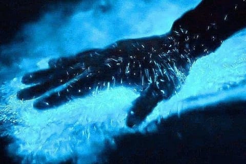Bioluminescence et excursion locale en bateau au coucher du soleil vers le sanctuaire de Los Arcos — photo 3
