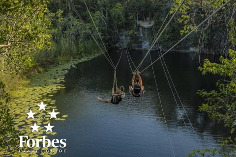 Tour guiado de 4 cenotes en 1 con desayuno, comida y vino — photo 3