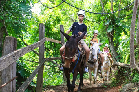Aventure tyrolienne et pont suspendu à Puerto Vallarta — photo 8