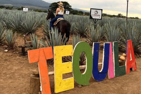 Aventura de un día al Pueblo Mágico de Tequila desde Puerto Vallarta — photo 9