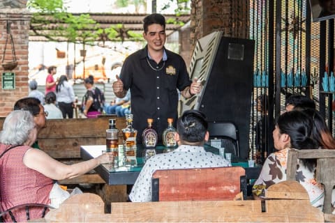 Aventura de un día al Pueblo Mágico de Tequila desde Puerto Vallarta — photo 10