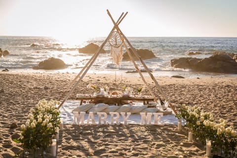Private Picnic Marriage Proposal by the Sea — photo 5