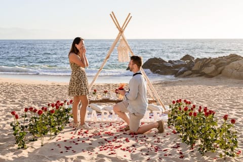 Private Picnic Marriage Proposal by the Sea — photo 11