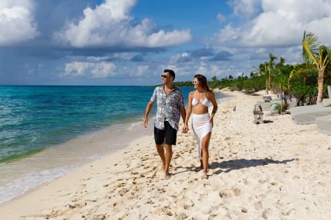 Hidden Cenote Swim: Snorkeling, Sea Turtles and Beachside Lunch — photo 4