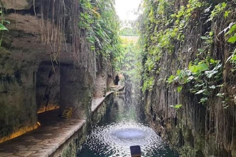 Mérida : excursion à l'Hacienda Mucuyché et aux cenotes — photo 1