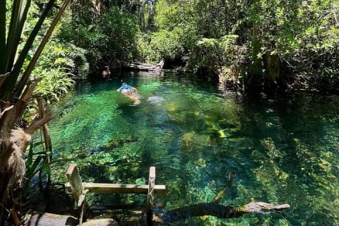 Tour en kayak por los manglares y la playa de Sisal desde Mérida — photo 3