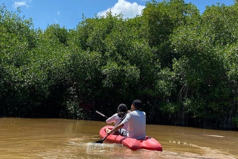 Tour en kayak por los manglares y la playa de Sisal desde Mérida — photo 9