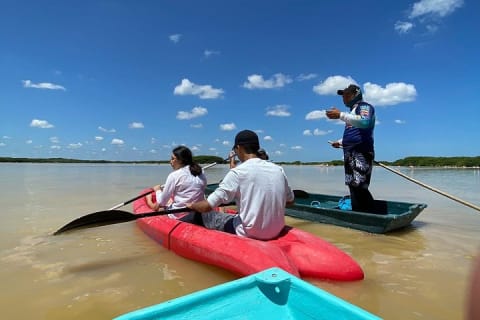 Tour en kayak por los manglares y la playa de Sisal desde Mérida — photo 8