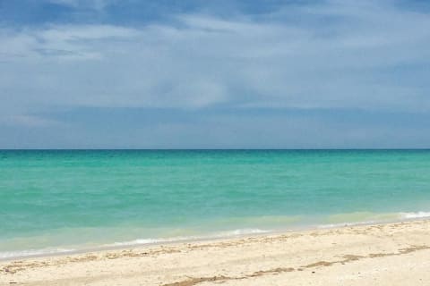 Tour en kayak por los manglares y la playa de Sisal desde Mérida — photo 14