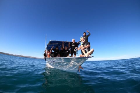 Snorkeling avec les requins-baleines à La Paz et déjeuner depuis Los Cabos — photo 6