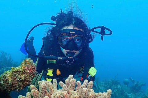 Tulum Diving (Reef) 2 Tanks — photo 4
