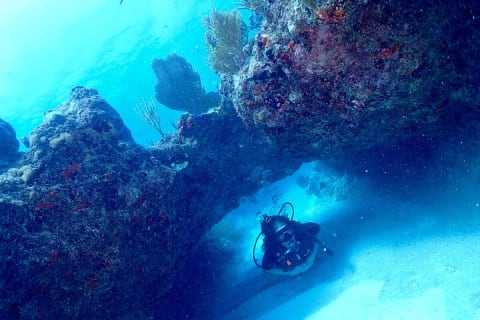 Tulum Diving (Reef) 2 Tanks — photo 11