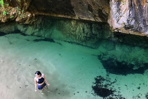 Randonnée de 4 heures dans la jungle et baignade à la cascade avec un expert de la nature — photo 4