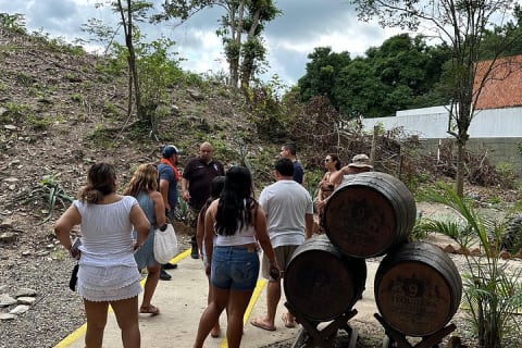 Parcours privé à Puerto Vallarta : au cœur de la ville — photo 8