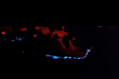 Bioluminescence by Kayak or SUP to Los Arcos, Puerto Vallarta — photo 7