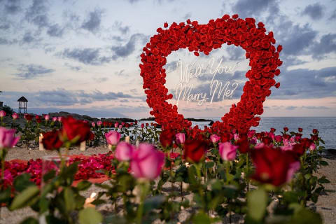 Private Photoshoot Giant Heart with Roses — photo 3