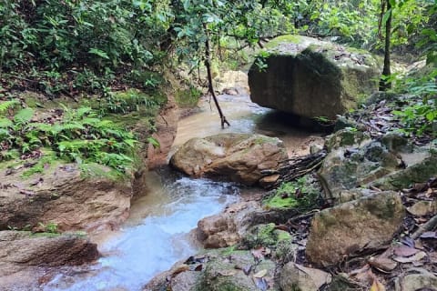 Mismaloya Waterfalls Private Tour in Puerto Vallarta — photo 7