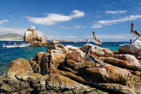 Aventura en bote transparente y tour por la ciudad de Cabo San Lucas — photo 7