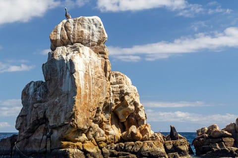 Aventura en bote transparente y tour por la ciudad de Cabo San Lucas — photo 4