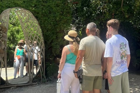 Private VW Beetle Tour Swim with Turtles, Visit Tulum Ruins&Town — photo 4