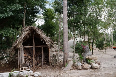 Coba Ruins Archeological Tour with Mayan Village at Sunset Time — photo 5