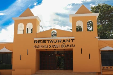 Visit Chichen Itza, Cenote, Valladolid and Food from Tulum — photo 5