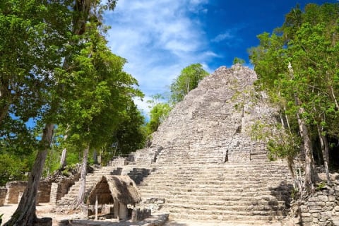 Coba Ruins Self-Guided Walking Tour with Audio Guide — photo 4