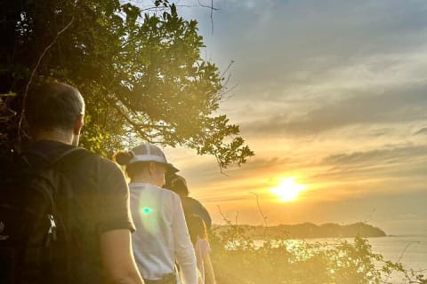 EcoHike to private beach, Jungle Walk to see plants & animals — photo 5