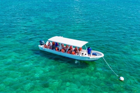 Private Tour Reefs and Corals Puerto Morelos Snorkel Lunch — photo 1