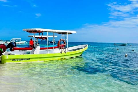 Private Tour Reefs and Corals Puerto Morelos Snorkel Lunch — photo 10