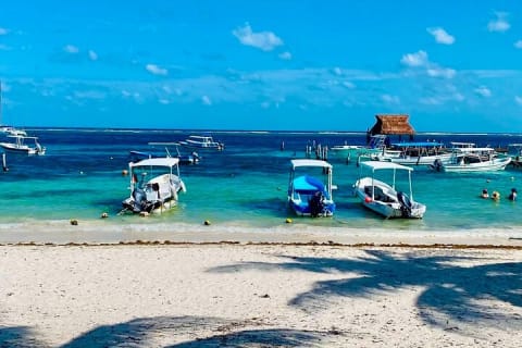 Private Tour Reefs and Corals Puerto Morelos Snorkel Lunch — photo 11
