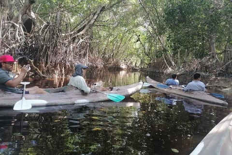 Celestún Mangrove Exploration & Beach Escape from Mérida — photo 2