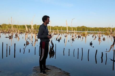 Celestún Mangrove Exploration & Beach Escape from Mérida — photo 7