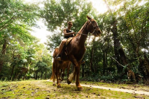 Horseback Ride, ATV, Ziplines & Cenote from Tulum — photo 1