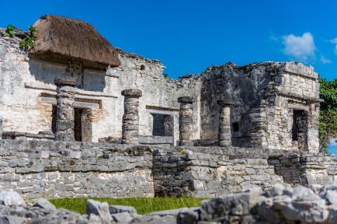 Tulum highlights tour, Cenote & Jungle Village pick up included — photo 15