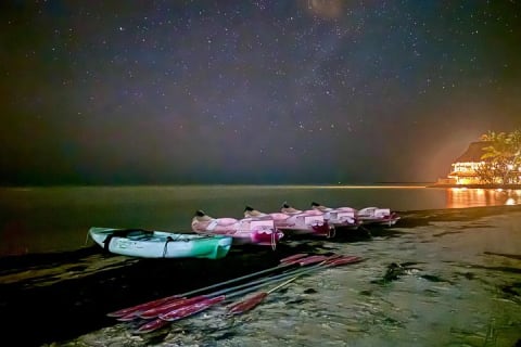 Holbox Kayak Bioluminescence Experience — photo 1