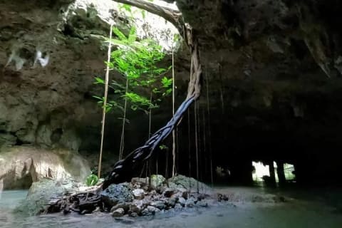 Cenotes de Sac Actun, excursion privée — photo 6
